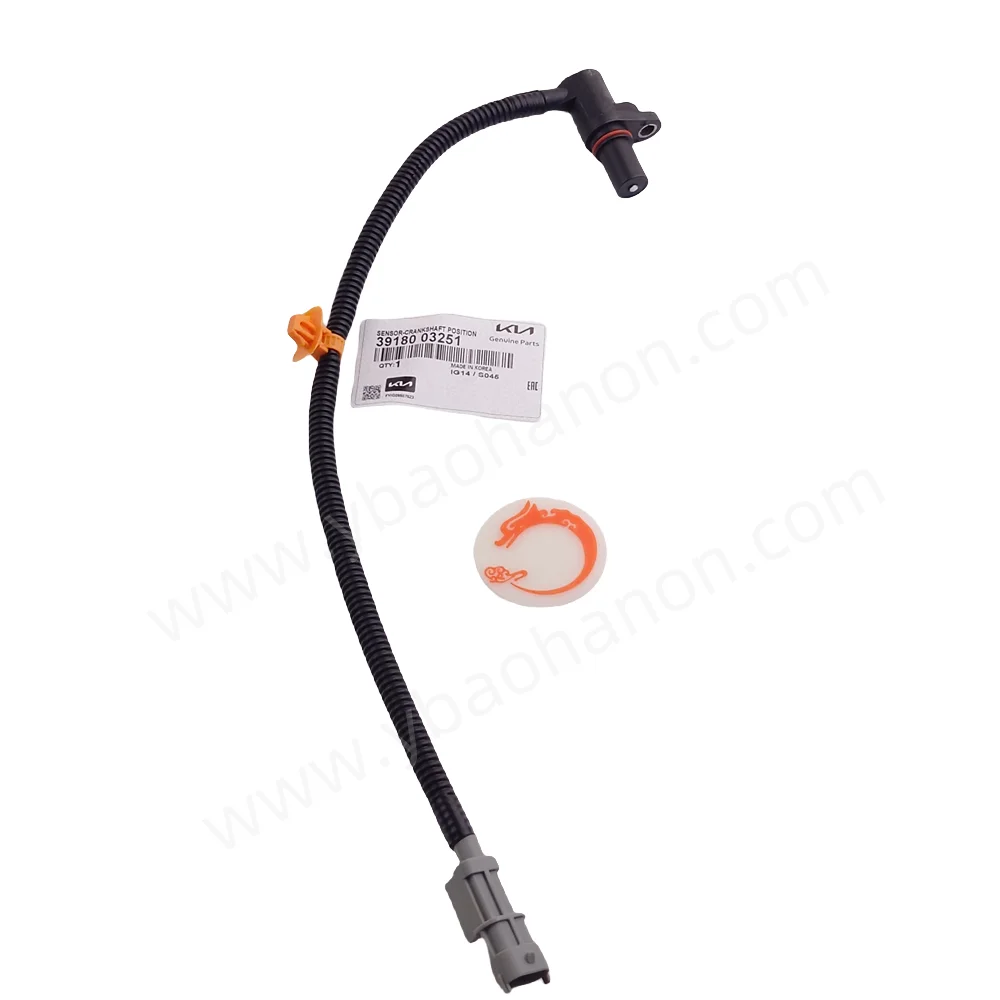 When Should You Replace Your Car's Timing Belt