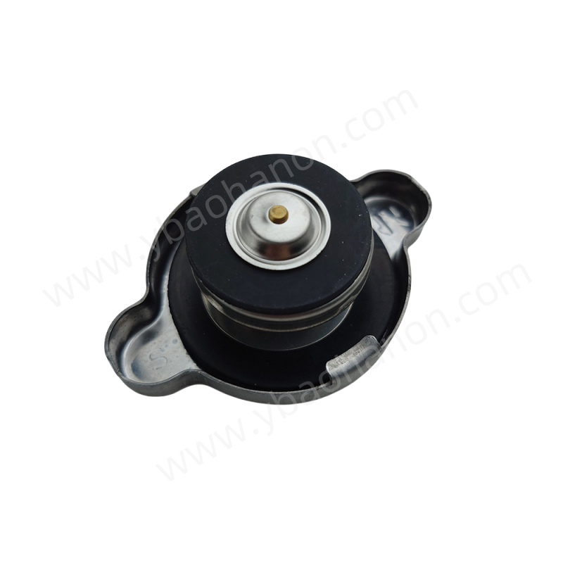 Автоптаристы Radiator Caps 25330-2E100