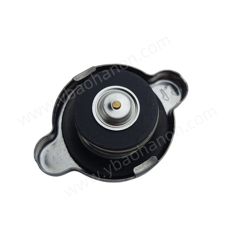 Автоптаристы Radiator Caps 25330-2E100
