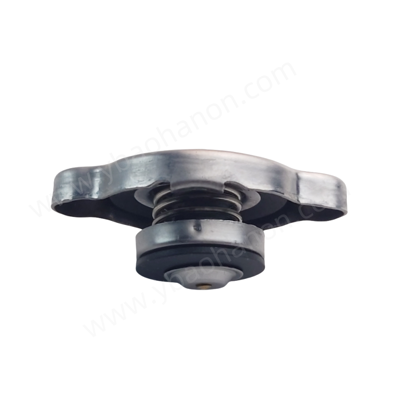 Автоптаристы Radiator Caps 25330-1P000