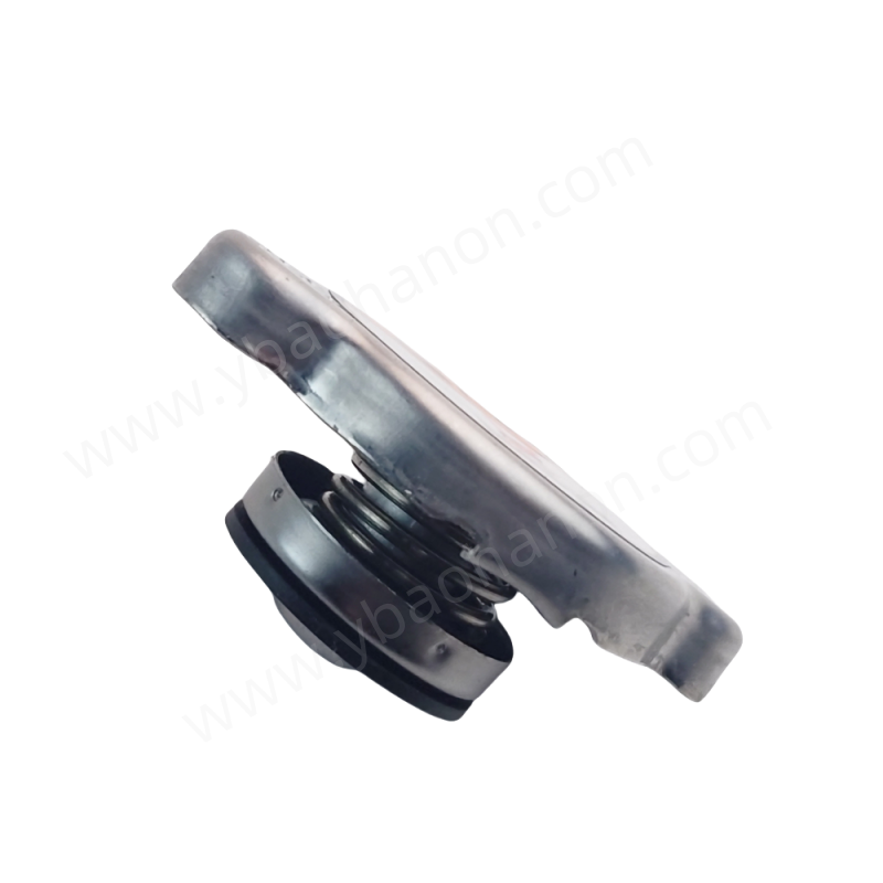 Автоптаристы Radiator Caps 25330-1P000