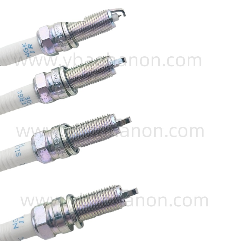 18844-10060 PLUG ASSY-SPARK