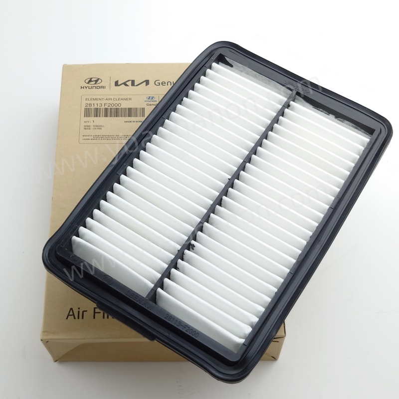 FILTER, AIR28113-F2000