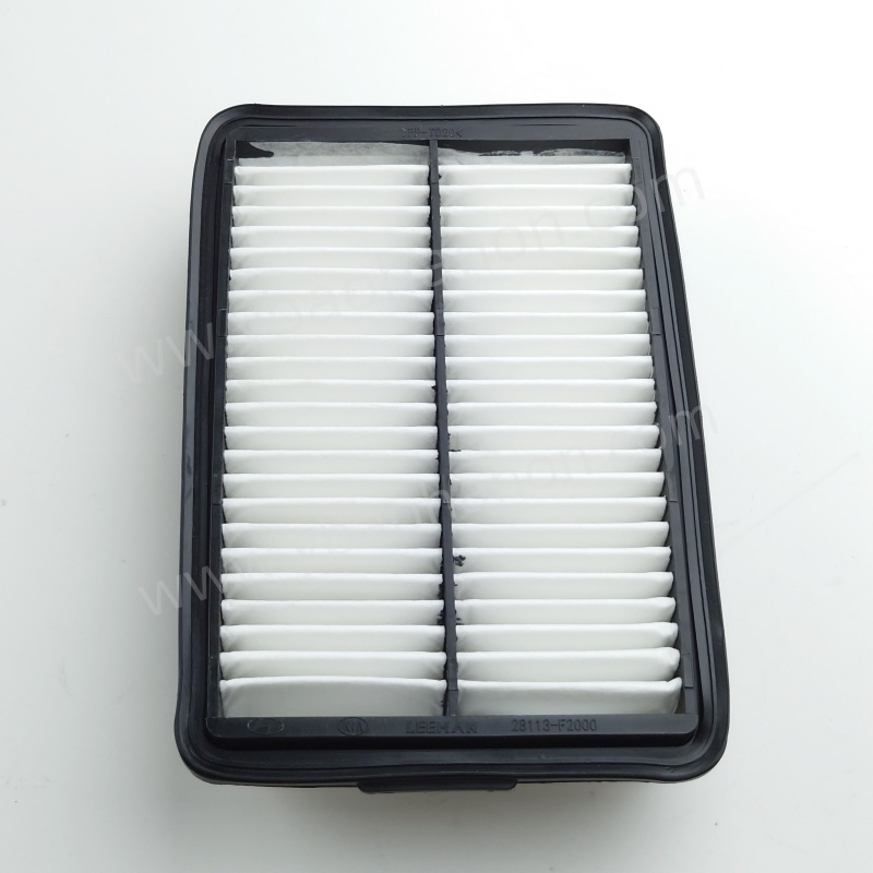 FILTER, AIR28113-F2000