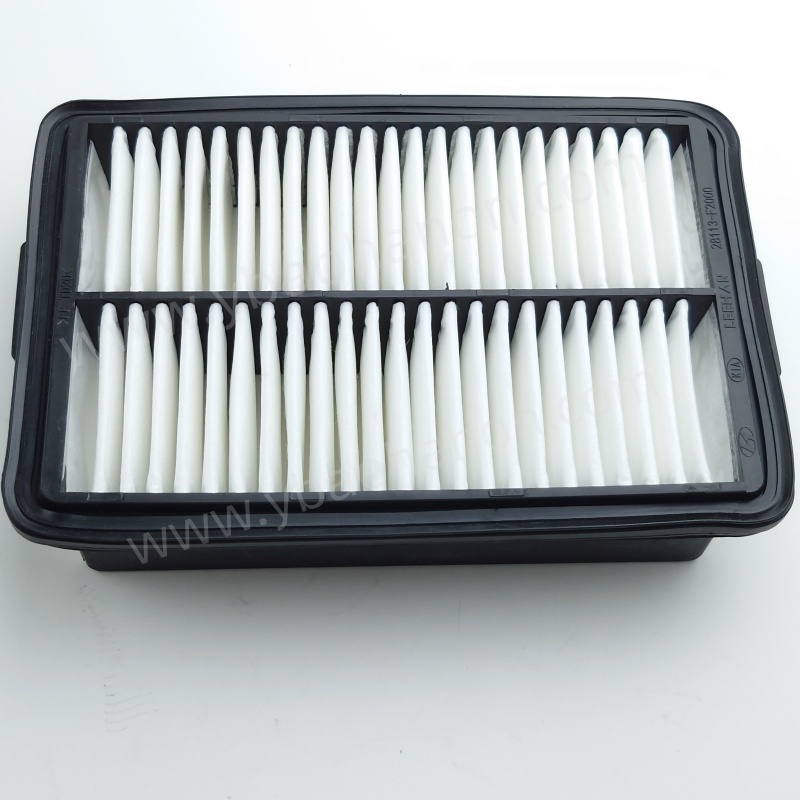 FILTER, AIR28113-F2000