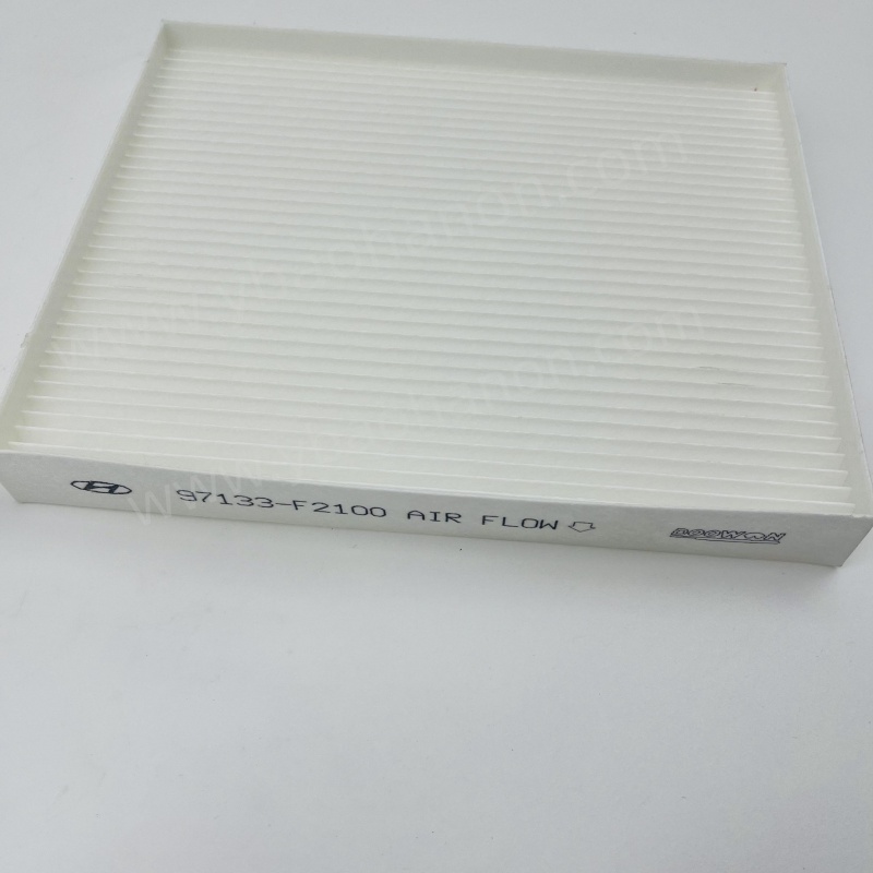 FILTER, AIR97133-F2100