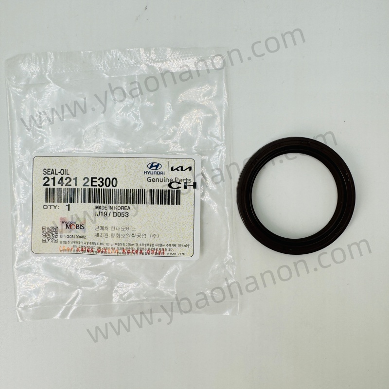 21421- 2E300SEAL-OIL