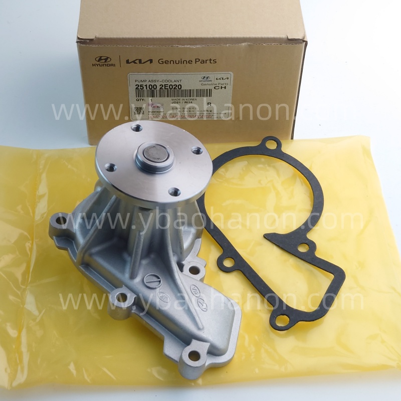 25100-2E020   PUMP ASSY-WATER