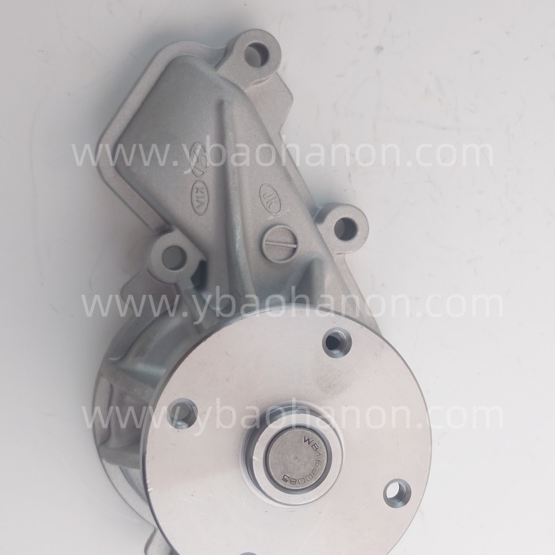 25100-2E020   PUMP ASSY-WATER