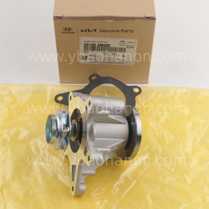 25100-2M000     PUMP ASSY-WATER