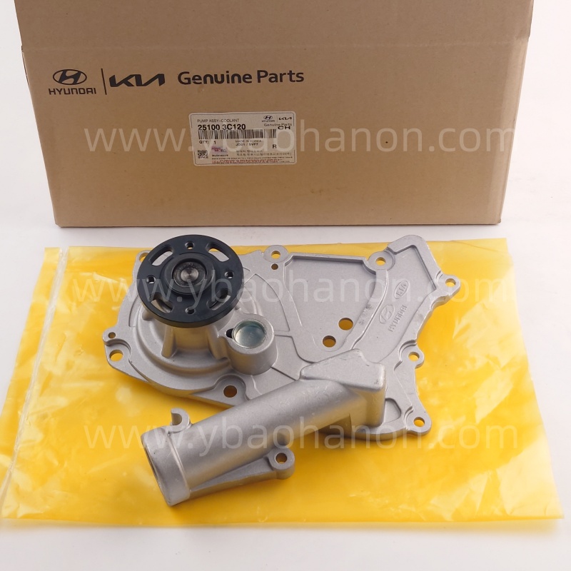 25100-3C120  PUMP ASSY-WATER