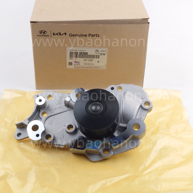 25100-3E000  PUMP ASSY-WATER