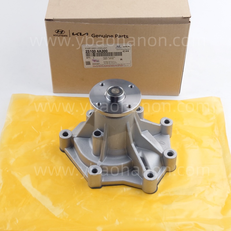25100-4A300  PUMP ASSY-WATER