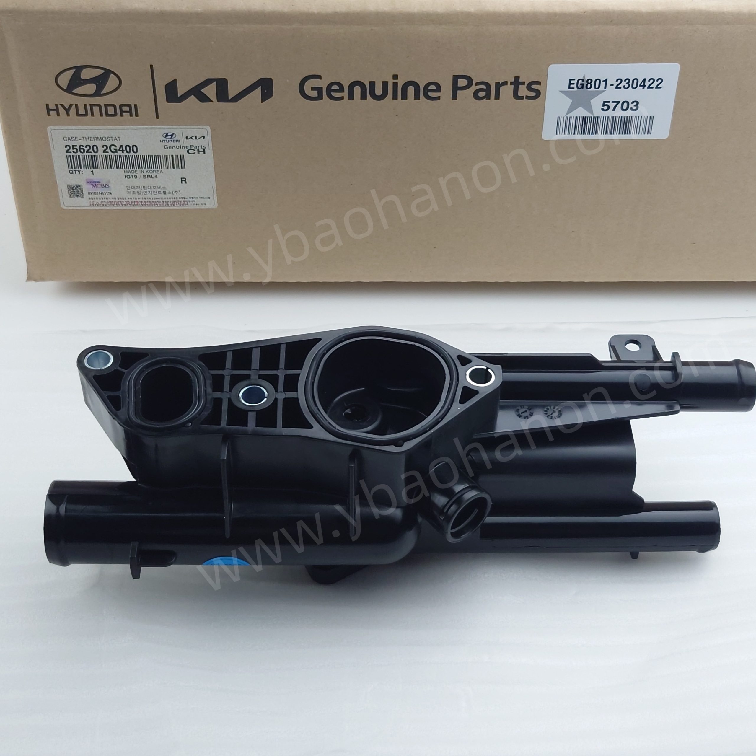CASE-THERMOSTAT  25620-2G400
