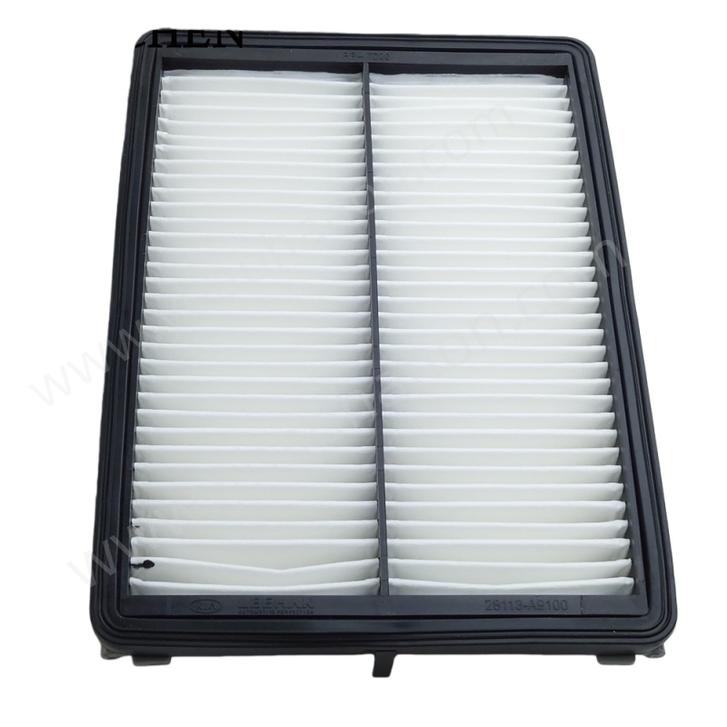 FILTER, AIR28113-A9100