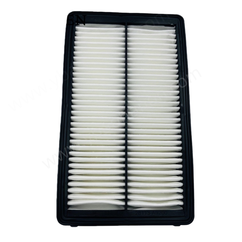 FILTER, AIR28113-A9200