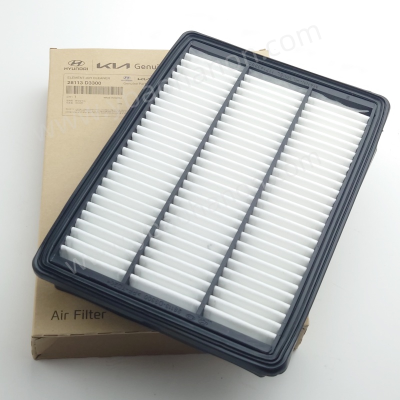 FILTER, AIR28113-D3300