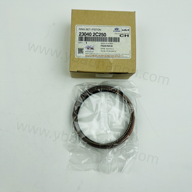 23040-2C250 RING SET-PISTON