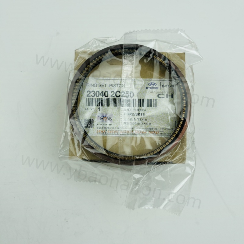 23040-2C250 RING SET-PISTON