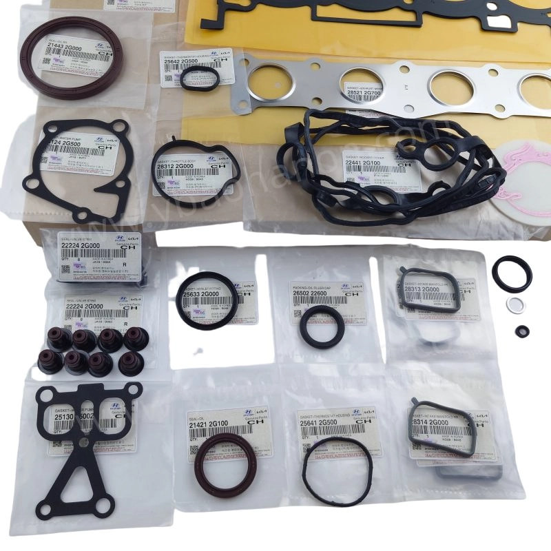 Guía de materiales para los kits de juntas 20910-2GU01: lo que los compradores B2B deben verificar.